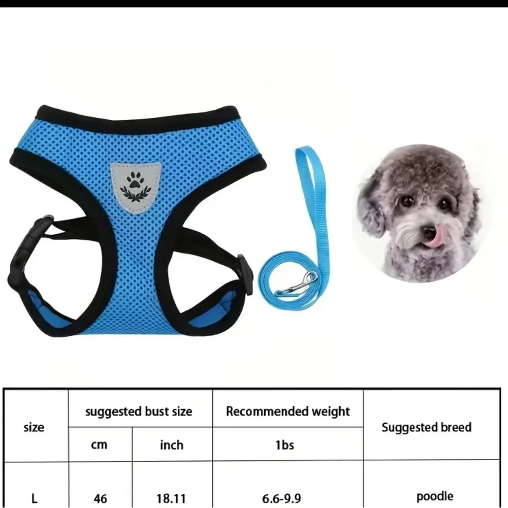 Harness & Leash Set